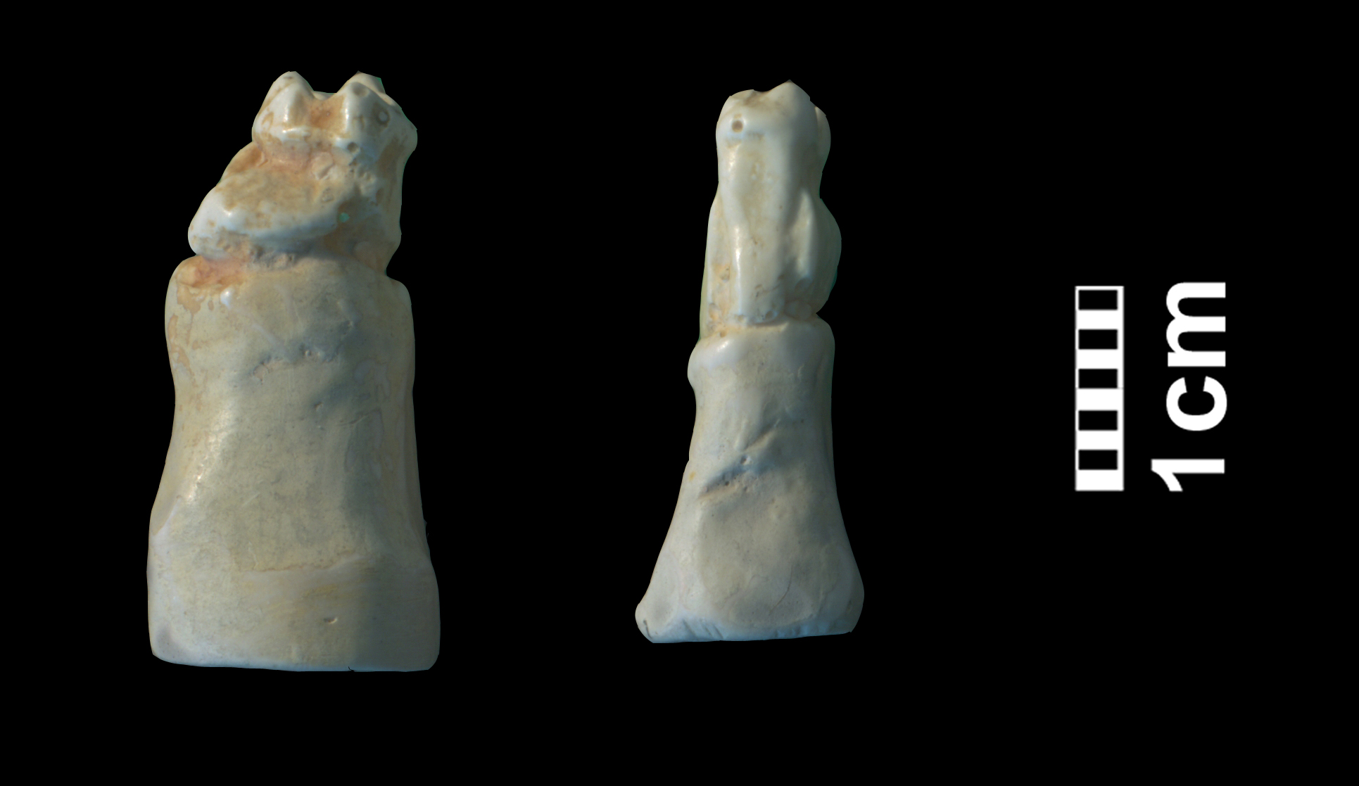 hyracotherium_sp3-8 (CH1bis)