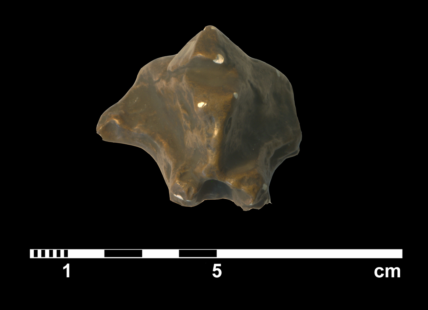 tritylodon_longaevus-6 (C200)