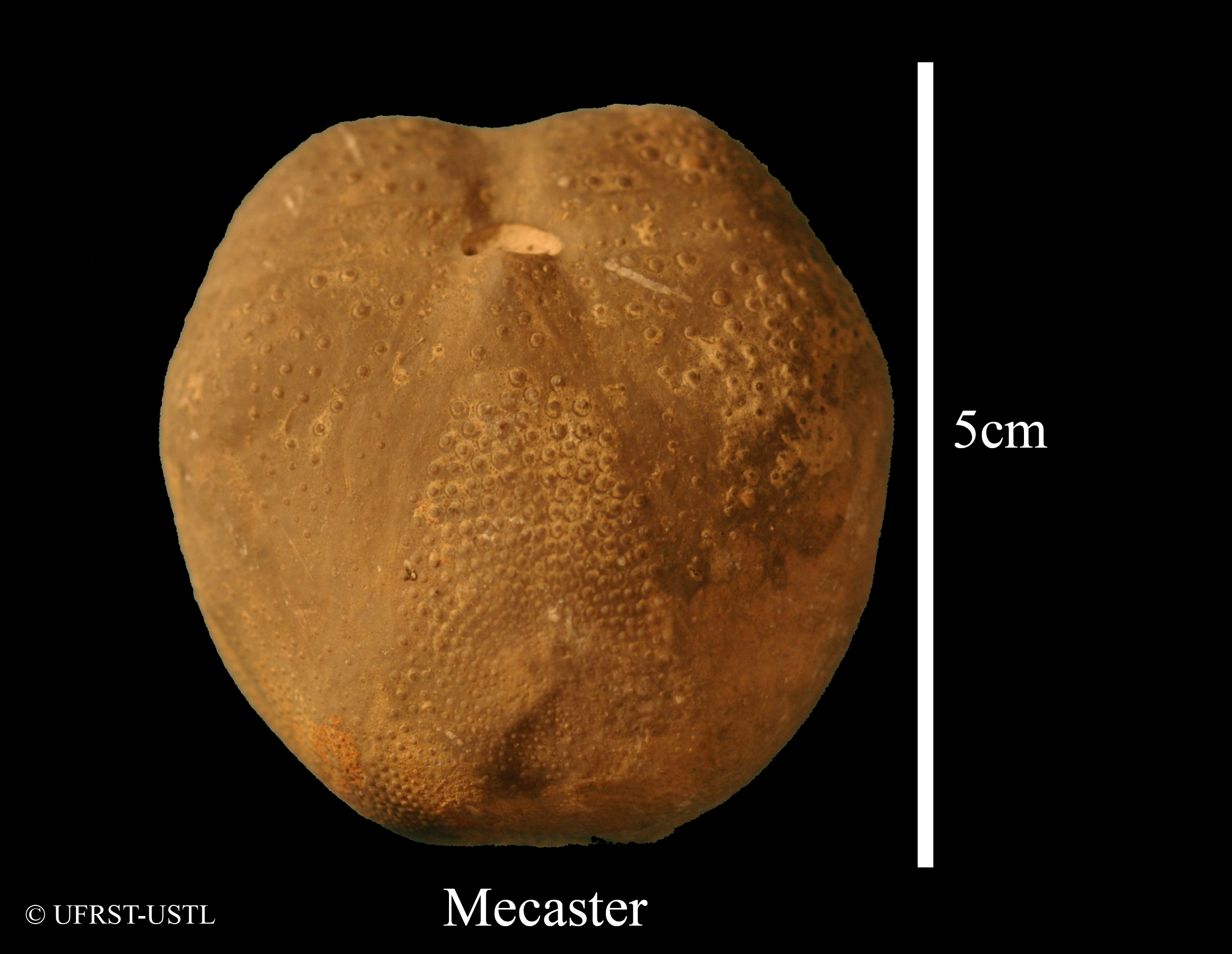 mecaster-2 (UL-E 0037)