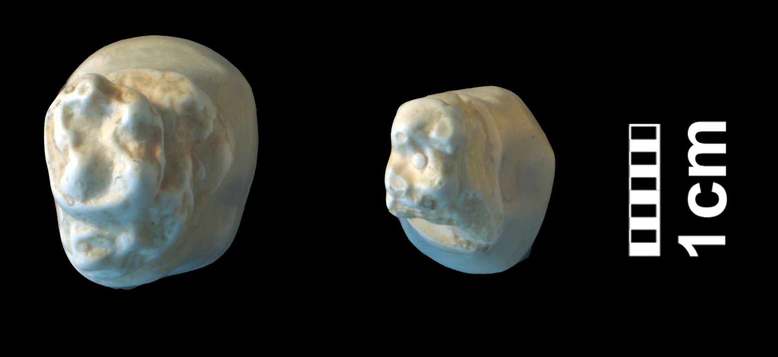 hyracotherium_sp3-1 (CH1bis)