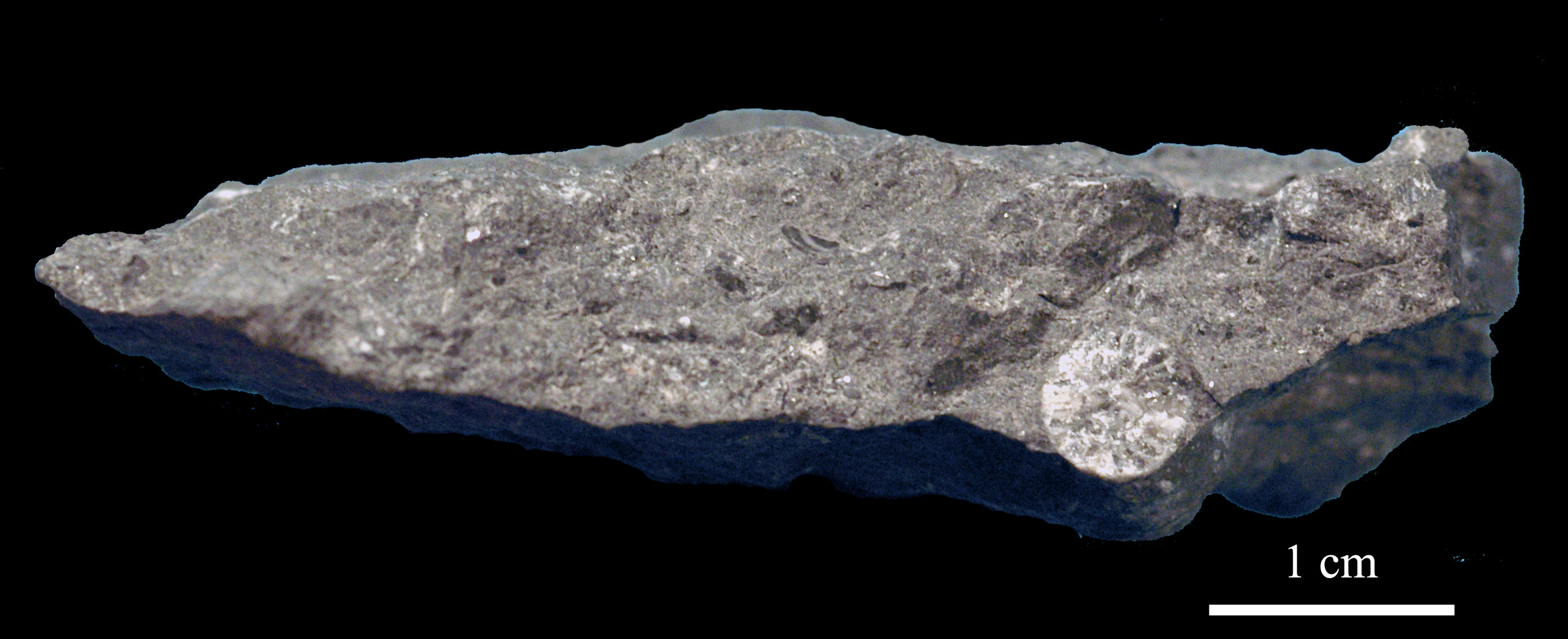 amplexus-1 (UL-C 0017)