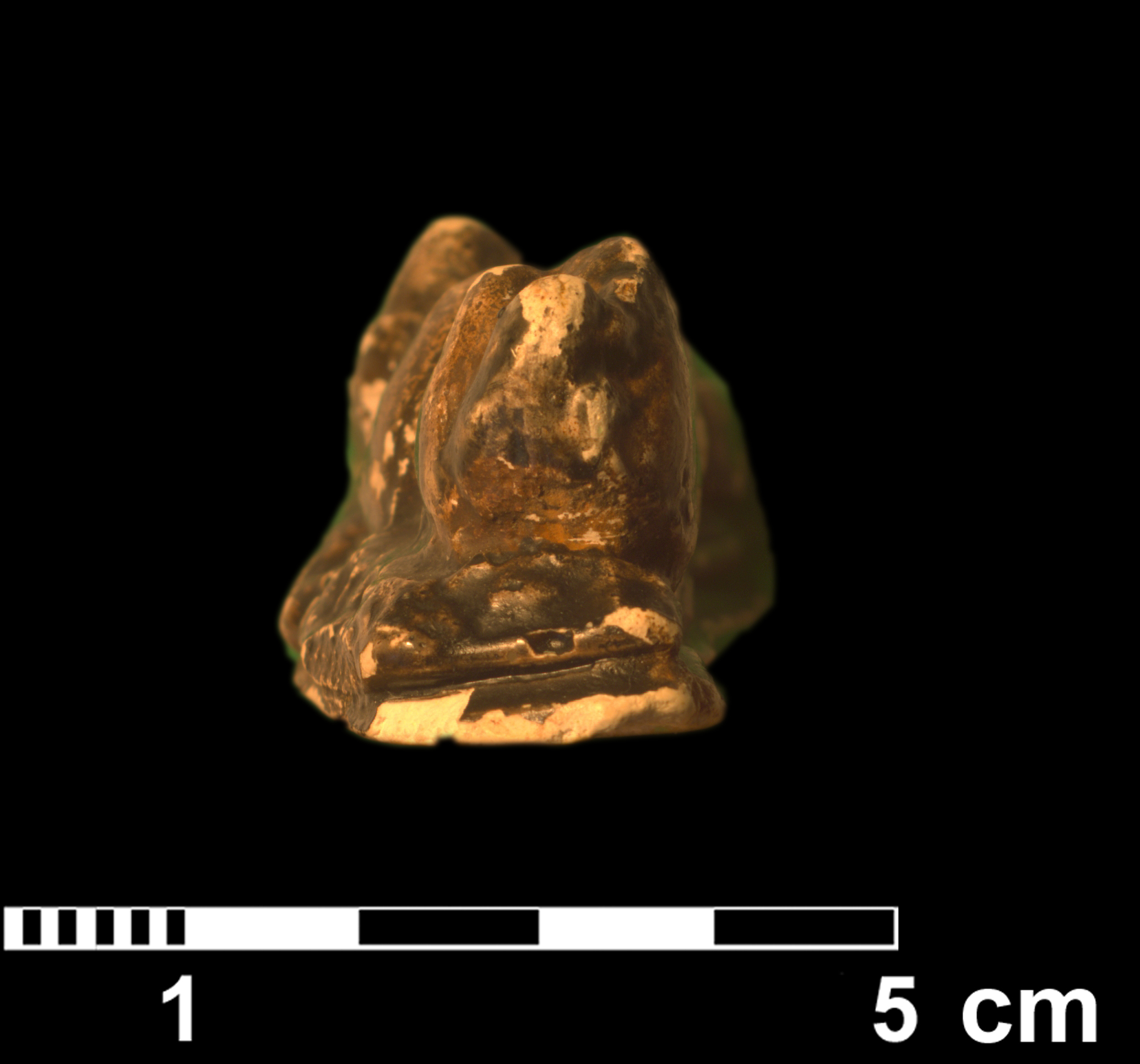 moeritherium_sp-_aff-_lyonsi-1 (VTP13)