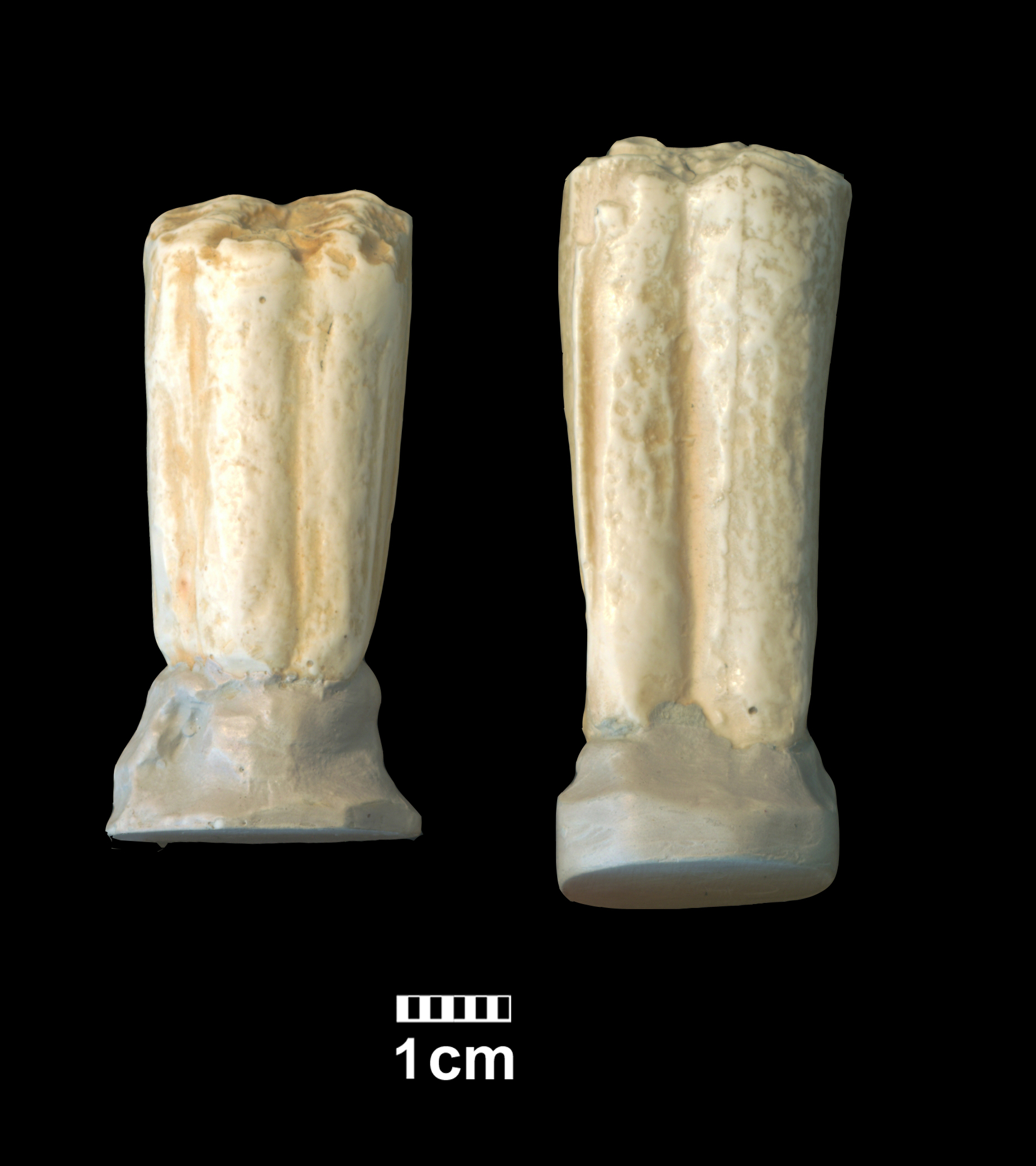 hipparion_cf-_dietrichi-5 (M510-MMTT13)