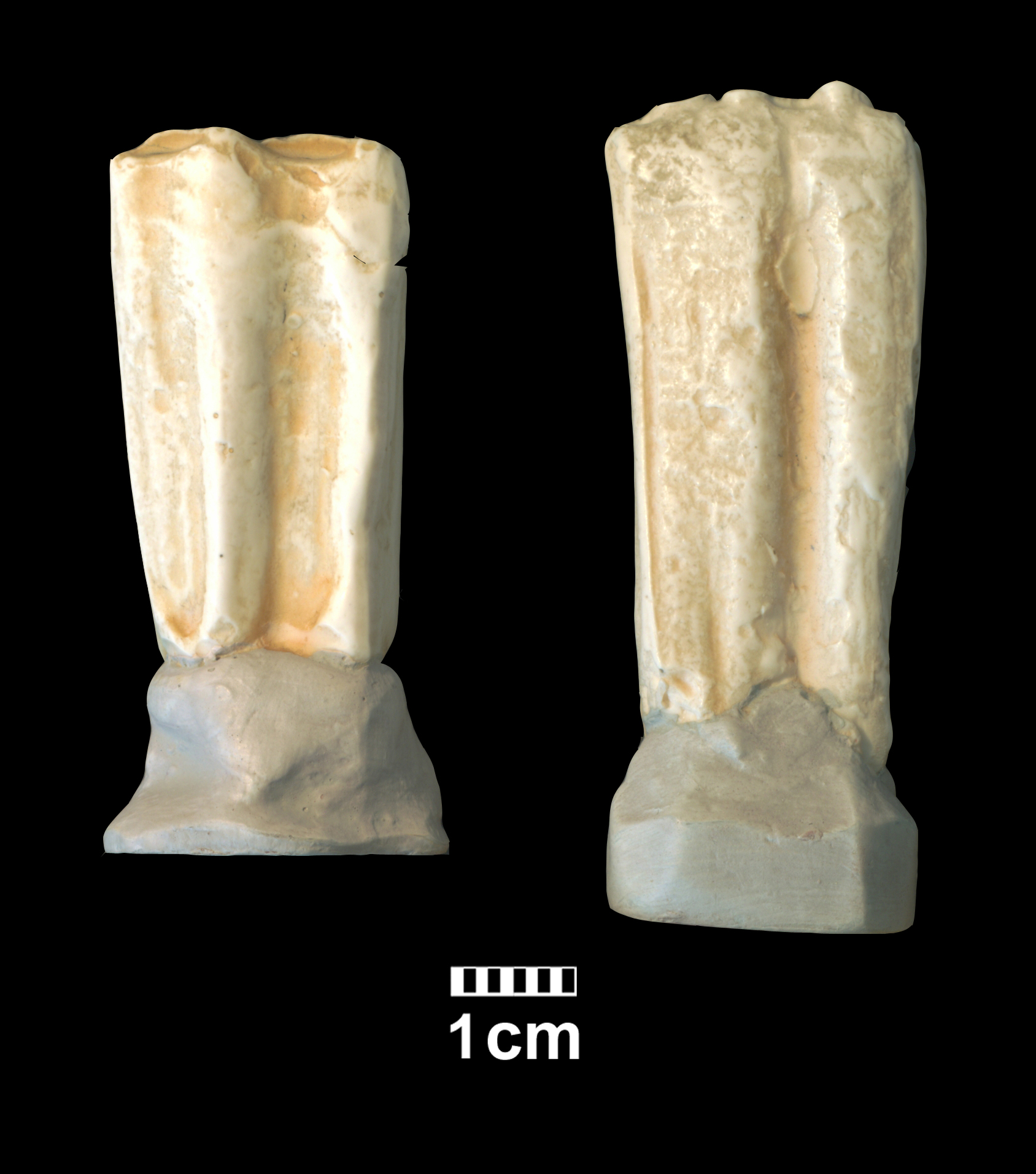hipparion_cf-_dietrichi-3 (M510-MMTT13)