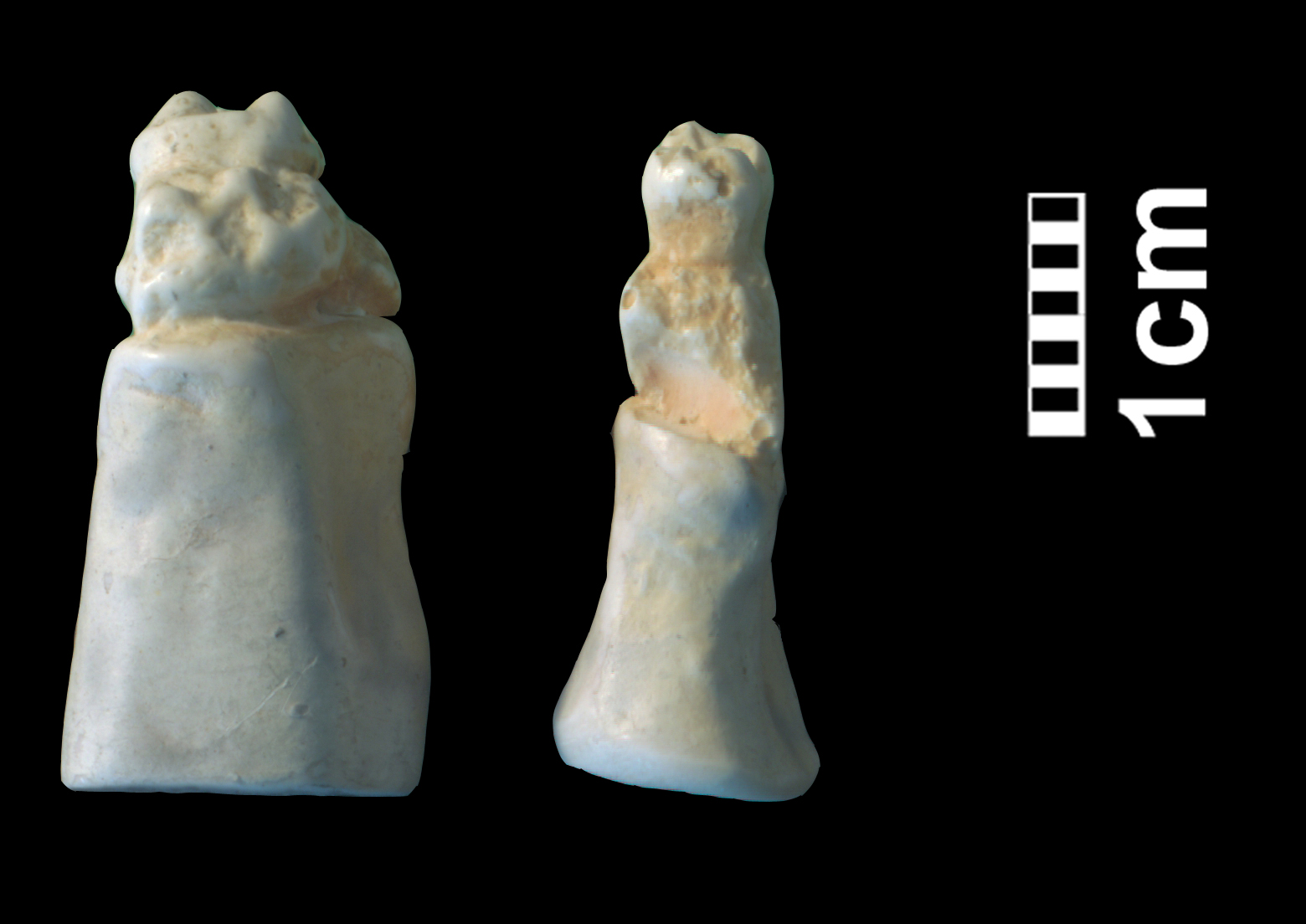 hyracotherium_sp3-6 (CH1bis)